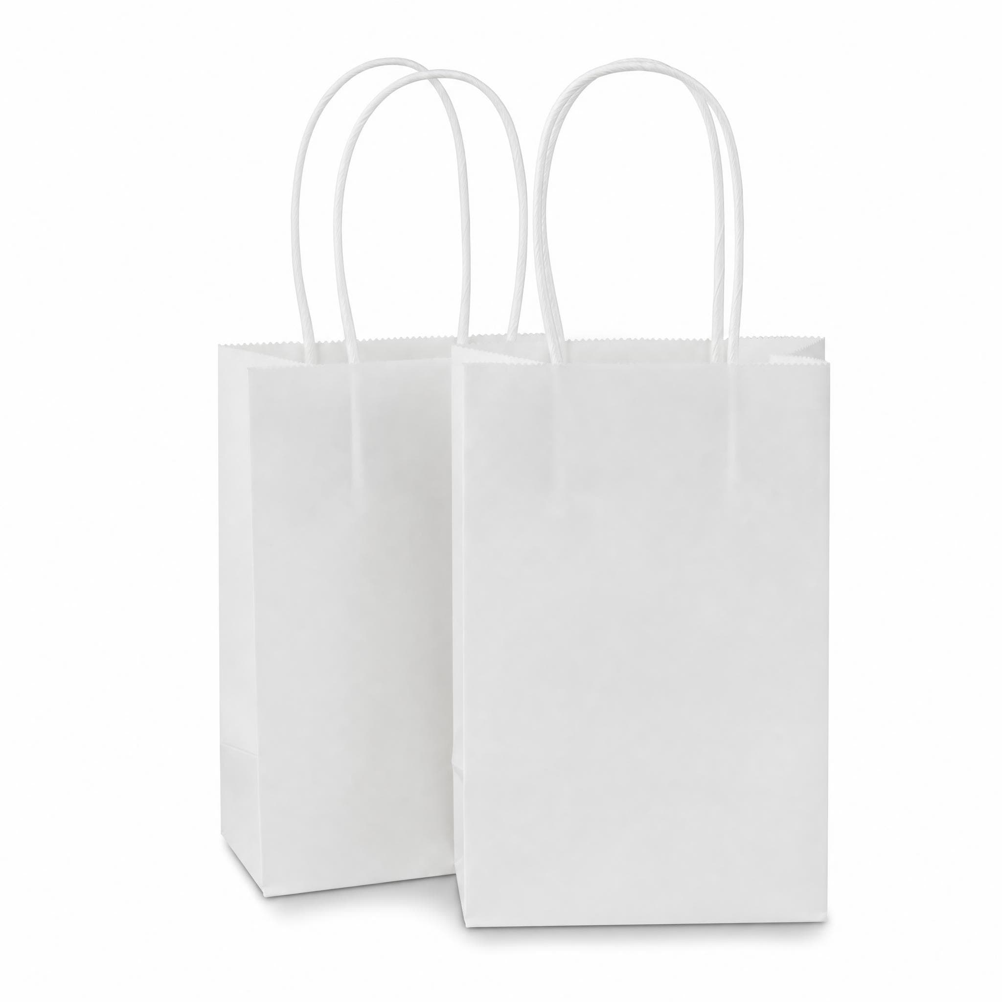 Party & Everyday Paper bags — Paper Party & Gift